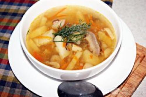 Суп из белых грибов. Грибной суп — классический рецепт