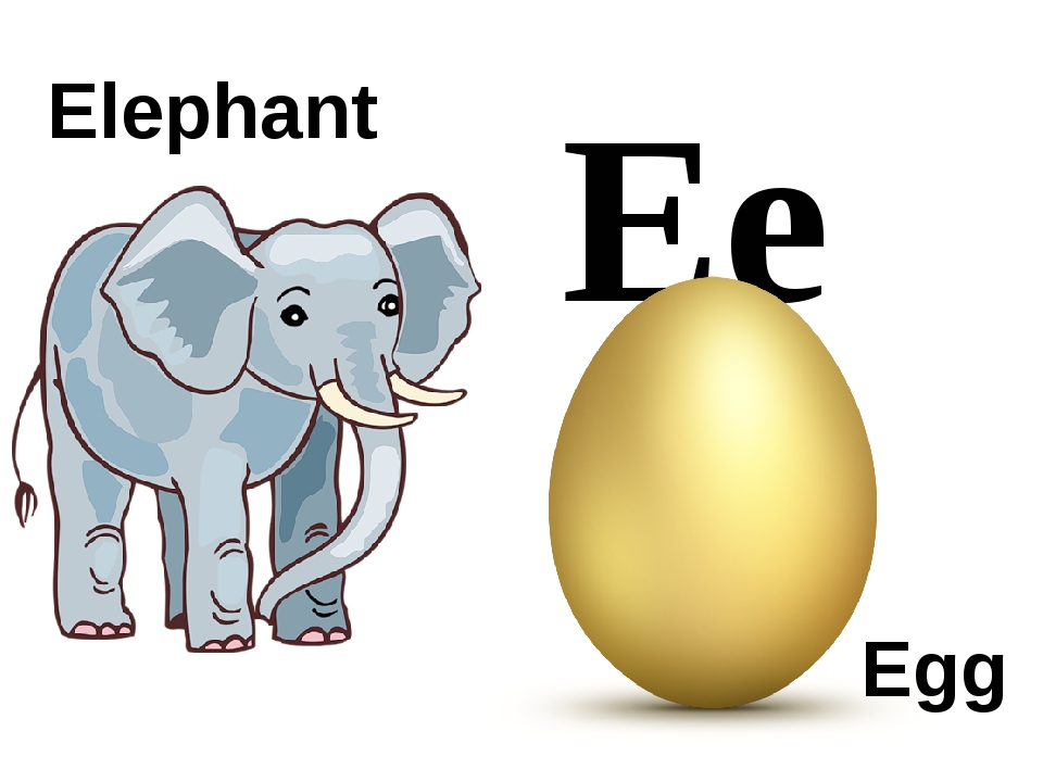 Как по английски будет яйцо. Буква ee. Английская карточка Elefant. Английский алфавит с картинками e Egg. Letter ee.