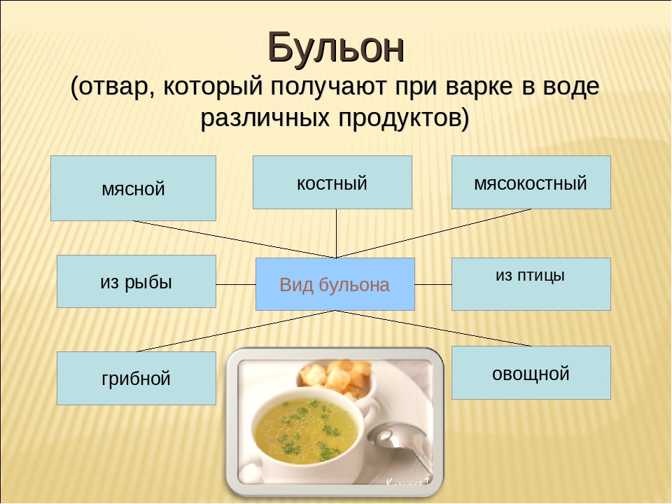 Значение супов в питании классификация супов приготовление бульонов