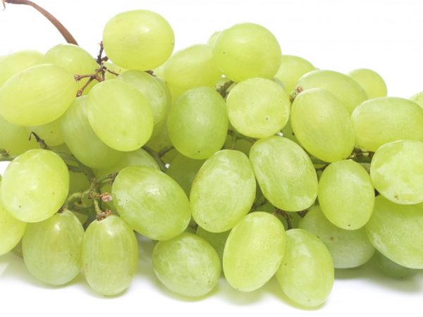 Употреблять виноград нельзя при язве желудка